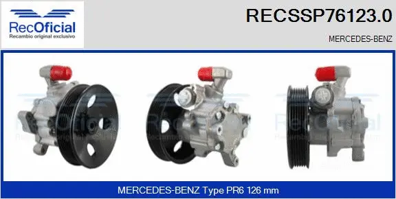 Hydraulic Pump, steering (RECSSP76123.0)