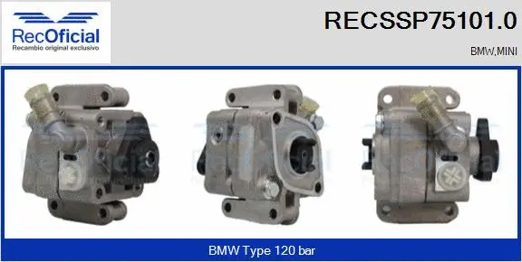 Hydraulic Pump, steering (RECSSP75101.0)