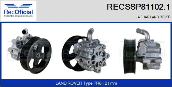 Hydraulic Pump, steering (RECSSP81102.1)