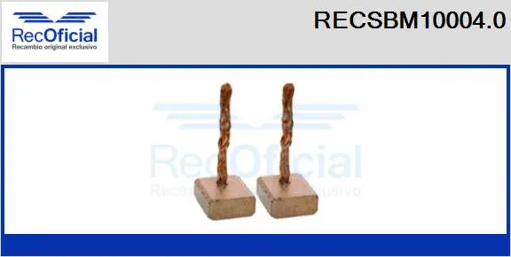 Carbon Brush, starter (RECSBM10004.0)