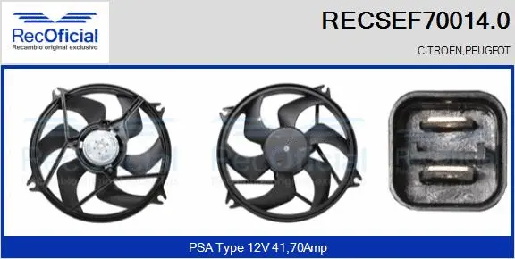 Electric Motor, radiator fan (RECSEF70014.0)