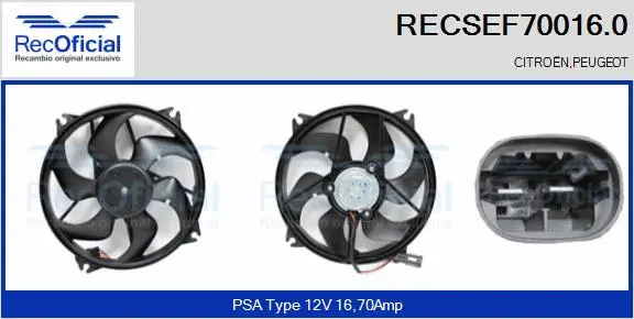Electric Motor, radiator fan (RECSEF70016.0)