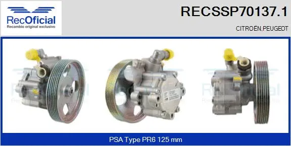 Hydraulic Pump, steering (RECSSP70137.1)