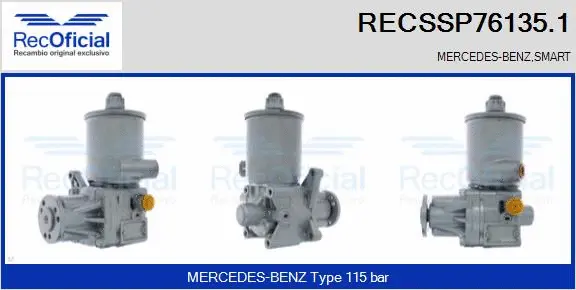Hydraulic Pump, steering (RECSSP76135.1)