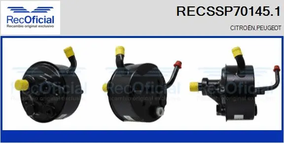 Hydraulic Pump, steering (RECSSP70145.1)