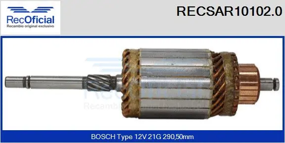 Armature, starter (RECSAR10102.0)