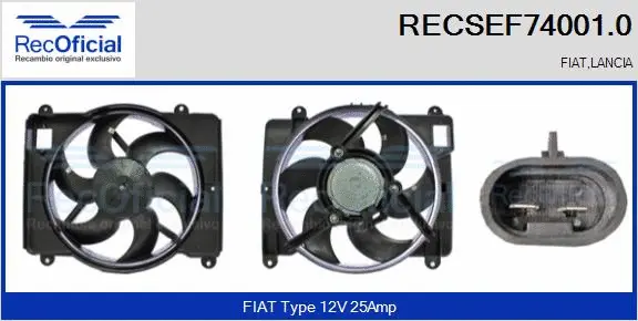 Electric Motor, radiator fan (RECSEF74001.0)