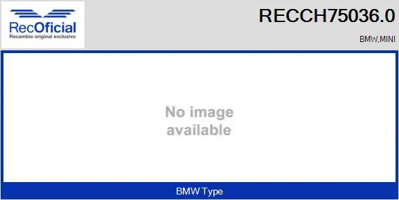 Core assembly, turbocharger (RECCH75036.0)