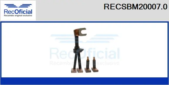 Carbon Brush, starter (RECSBM20007.0)