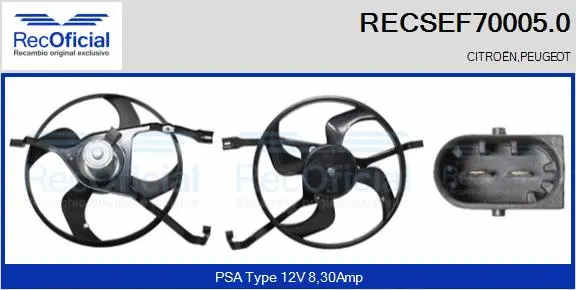 Electric Motor, radiator fan (RECSEF70005.0)