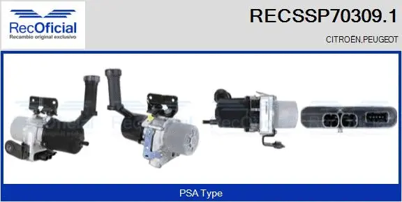 Hydraulic Pump, steering (RECSSP70309.1)