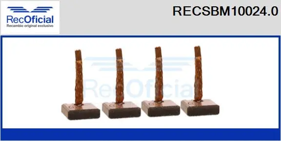 Carbon Brush, starter (RECSBM10024.0)