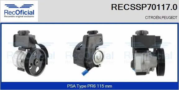 Hydraulic Pump, steering (RECSSP70117.0)