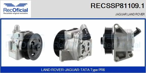Hydraulic Pump, steering (RECSSP81109.1)