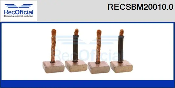 Carbon Brush, starter (RECSBM20010.0)