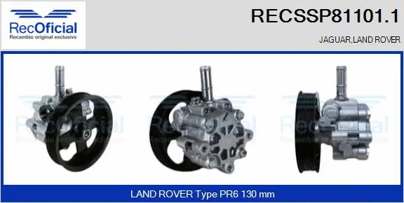 Hydraulic Pump, steering (RECSSP81101.1)