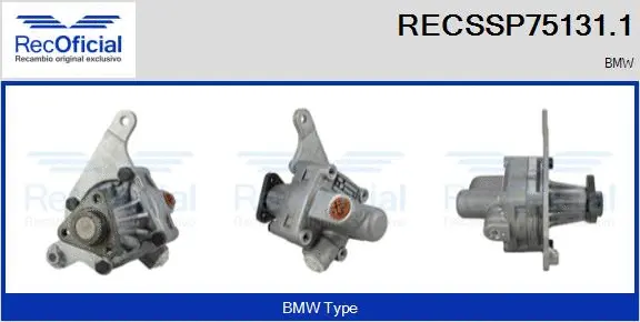 Hydraulic Pump, steering (RECSSP75131.1)