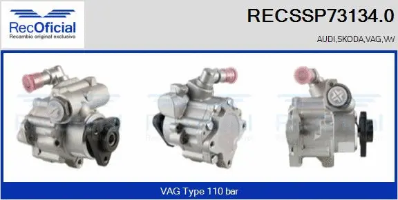 Hydraulic Pump, steering (RECSSP73134.0)