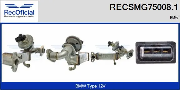 EGR Module (RECSMG75008.1)