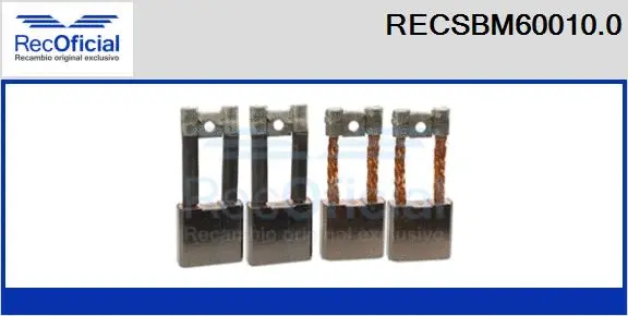 Carbon Brush, starter (RECSBM60010.0)