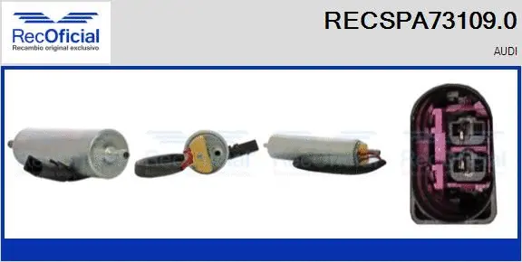 Fuel Pump (RECSPA73109.0)