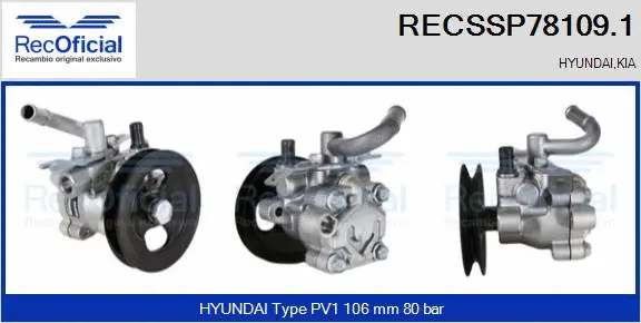 Hydraulic Pump, steering (RECSSP78109.1)