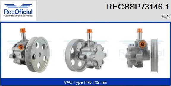 Hydraulic Pump, steering (RECSSP73146.1)
