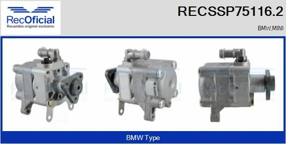 Hydraulic Pump, steering (RECSSP75116.2)