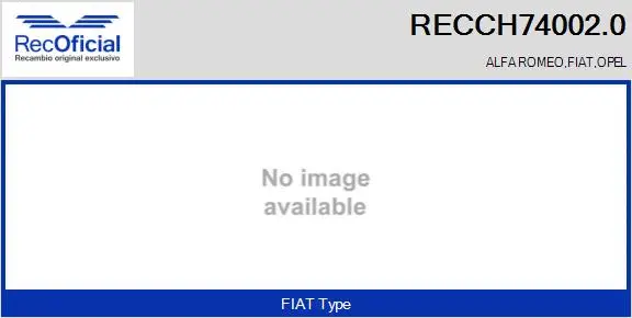 Core assembly, turbocharger (RECCH74002.0)