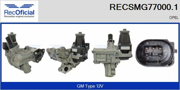 EGR Module (RECSMG77000.1)