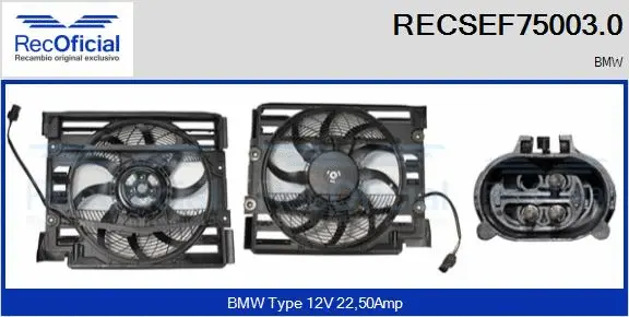 Electric Motor, radiator fan (RECSEF75003.0)