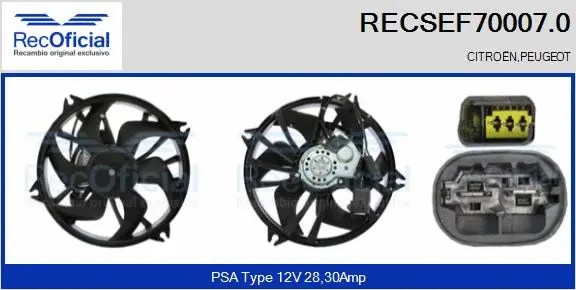 Electric Motor, radiator fan (RECSEF70007.0)