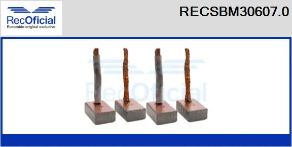 Carbon Brush, starter (RECSBM30607.0)