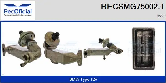 EGR Module (RECSMG75002.1)
