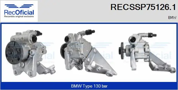 Hydraulic Pump, steering (RECSSP75126.1)