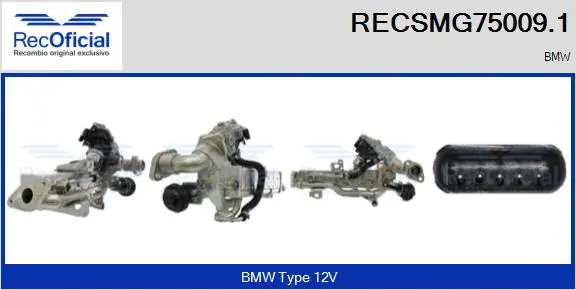 EGR Module (RECSMG75009.1)