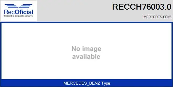 Core assembly, turbocharger (RECCH76003.0)