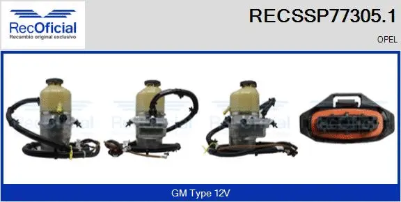 Hydraulic Pump, steering (RECSSP77305.1)