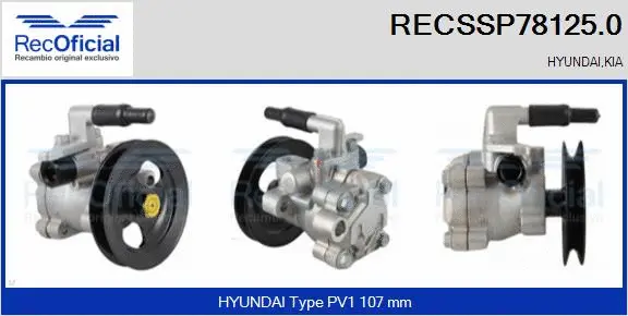 Hydraulic Pump, steering (RECSSP78125.0)