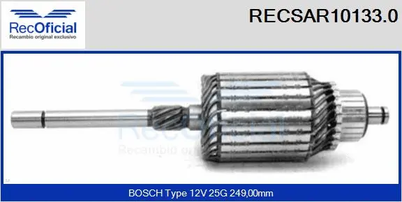 Armature, starter (RECSAR10133.0)