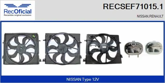 Electric Motor, radiator fan (RECSEF71015.1)