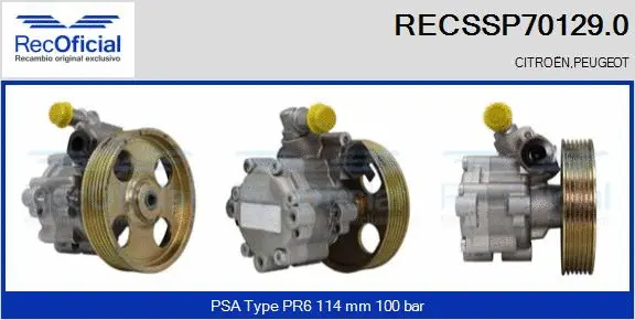 Hydraulic Pump, steering (RECSSP70129.0)