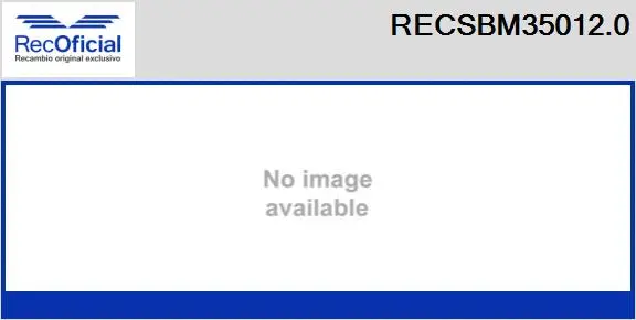 Carbon Brush, starter (RECSBM35012.0)