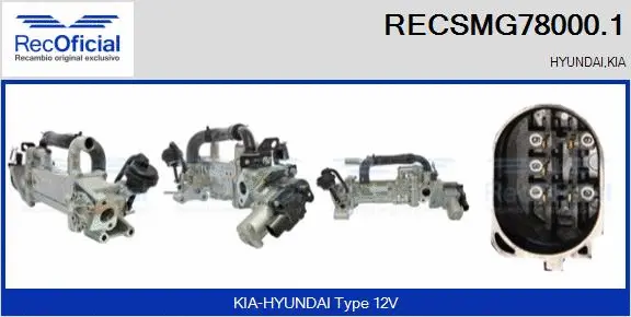 EGR Module (RECSMG78000.1)
