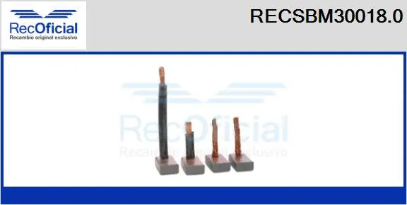 Carbon Brush, starter (RECSBM30018.0)