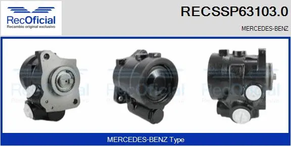 Hydraulic Pump, steering (RECSSP63103.0)