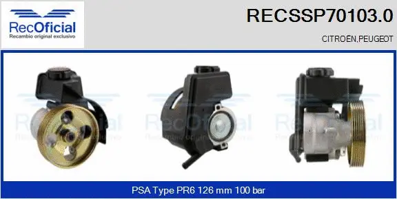 Hydraulic Pump, steering (RECSSP70103.0)