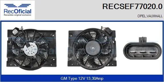 Electric Motor, radiator fan (RECSEF77020.0)