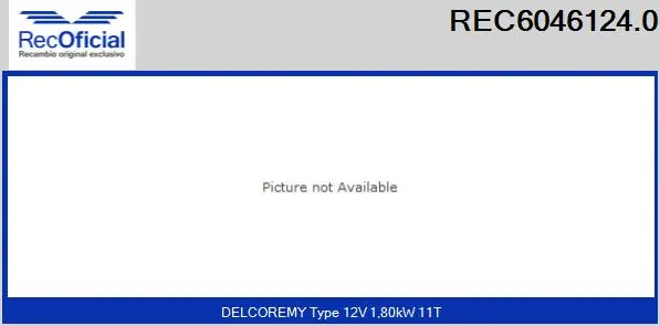 Starter (REC6046124.0)