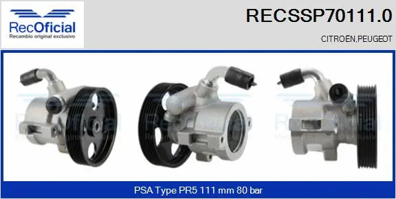 Hydraulic Pump, steering (RECSSP70111.0)